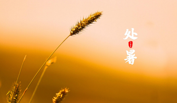 处暑为什么在立秋后面（处暑怎么在立秋之后）