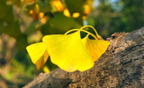 2023末伏过了是不是就凉快了（2023末伏过后是不是就不热了）