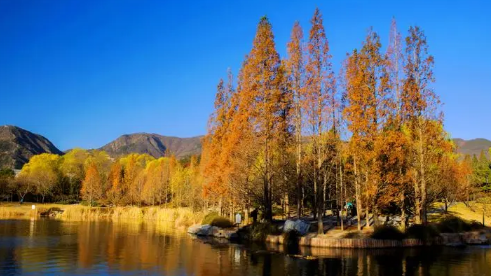 安徽几月入秋20233