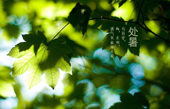 2023年处暑时间是下午还是上午（2023年处暑时间是晚上还是白天）