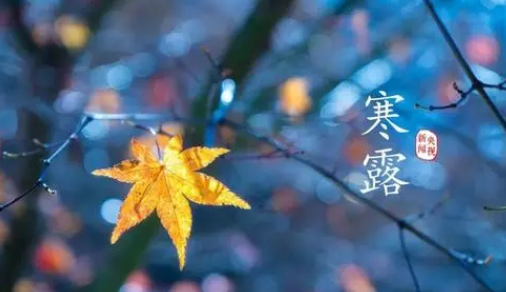 2023年寒露后有露水了吗（寒露后夜里几点有露水）