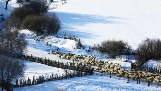 2023立冬冷点好还是热点好（立冬不冷有什么预兆）