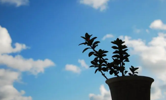 2023年北京国庆期间会降温吗(北京每年国庆节都是晴天吗) 2023年北京国庆期间会降温吗(北京每年国庆节都是晴天吗)