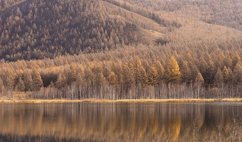 2023国庆去内蒙古草原还是绿色的吗（国庆去内蒙古哪里的草还是绿的）