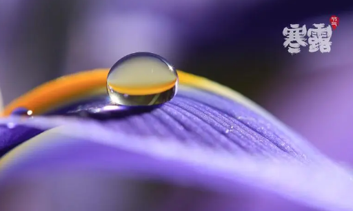 2023年寒露之后会降温吗(寒露后还要热多久) 2023年寒露之后会降温吗(寒露后还要热多久)