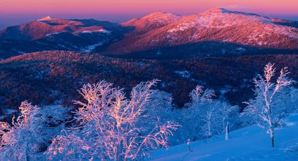 2023年立冬后会上冻吗3