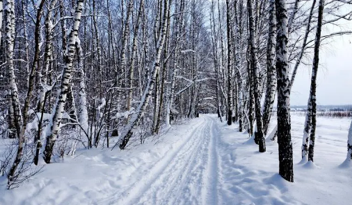 2023立冬冷点好还是热点好（立冬不冷有什么预兆）
