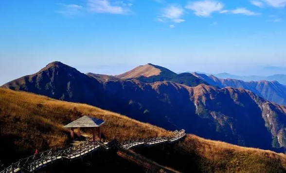 武功山坐索道可以带宠物吗（武功山坐索道可以带狗进去吗）