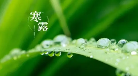 2023年寒露之后会降温吗(寒露后还要热多久) 2023年寒露之后会降温吗(寒露后还要热多久)