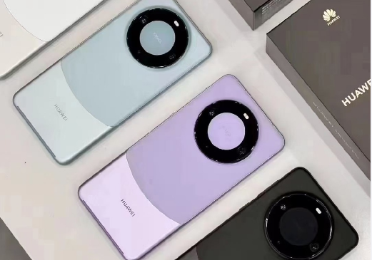 华为员工有mate60内购价吗（华为手机Mate60为什么会有两个价格）