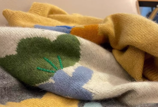 浣熊毛贵还是羊绒贵（浣熊绒与羊绒的区别在哪）