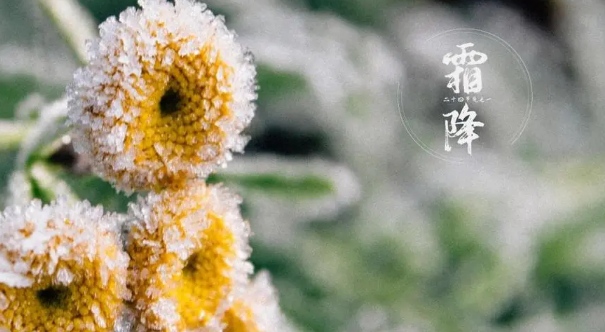 2023年霜降下霜冬天冷吗（霜降这天的天气对冬天有预示吗）