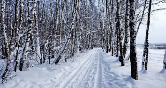 2023年到2024年沈阳冬天有几个月（沈阳冬天到几月份结束）