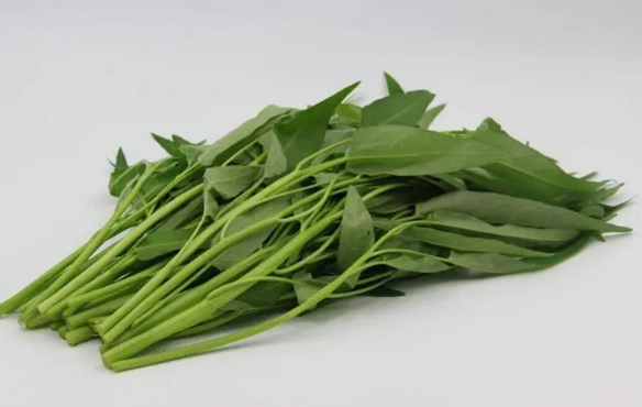 叶菜放冰箱24小时会致癌吗（叶菜放冰箱一天还能吃吗）