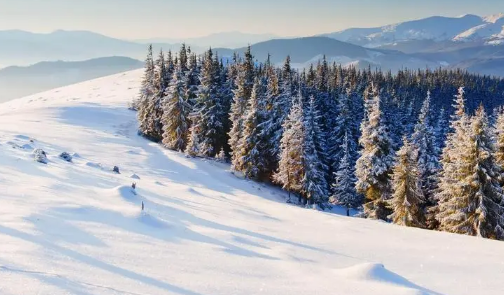 2024年冬天比往年冷吗(2023至2024年的冬季大概是什么时候) 2024年冬天比往年冷吗(2023至2024年的冬季大概是什么时候)