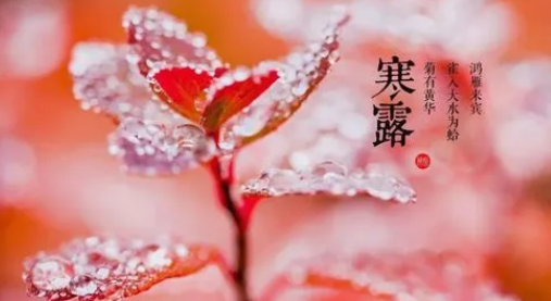 2023寒露下雨好还是晴天好（寒露下雨有啥说法）