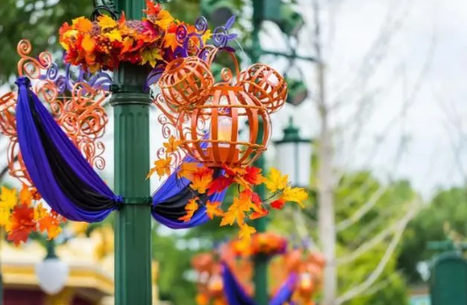 上海迪士尼万圣节可以带狗吗3