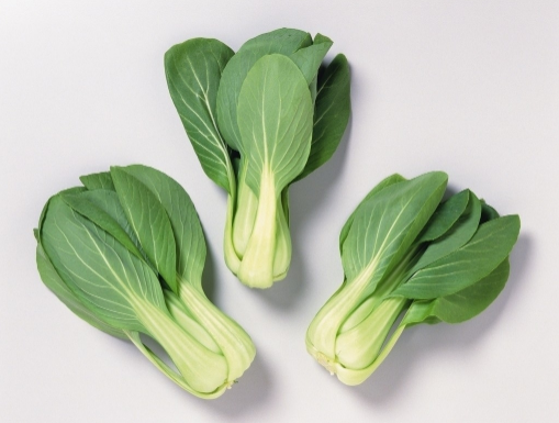 叶菜放冰箱24小时会致癌吗（叶菜放冰箱一天还能吃吗）