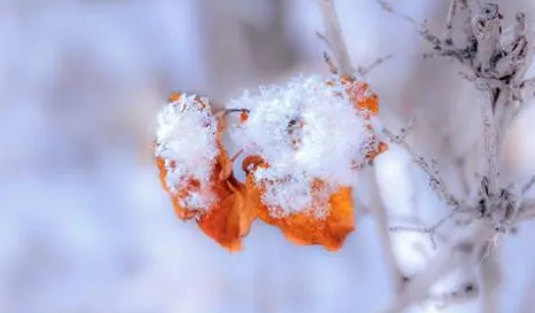 2024年冬天是60年来最冷的一年吗2