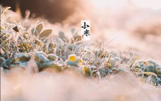 2024年小寒冷还是大寒冷（小寒到大寒多少天）