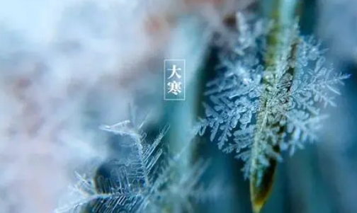 2024年大寒冷春节就冷吗（大寒冷对春节有影响吗）