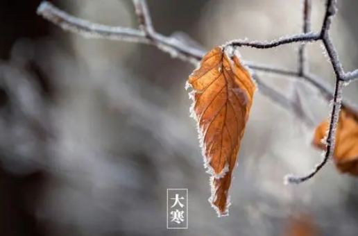 2024年大寒冷春节就冷吗（大寒冷对春节有影响吗）