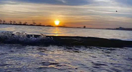 2023年深圳一般几月份到真正的冬天（深圳冬天几月到几月）