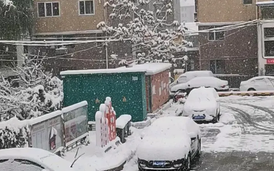 2023年12月北京会下雪吗（北京每年什么时候下雪）