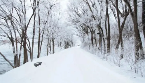 2023年湖南冬天会下雪吗（湖南哪个地方每年都会下雪）