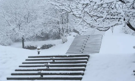 2024年深圳冬天会下雪吗(深圳为什么没有雪) 2024年深圳冬天会下雪吗(深圳为什么没有雪)