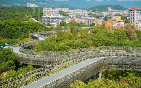 2023年广东什么时候降温入冬（广东真正冷起来是几月）