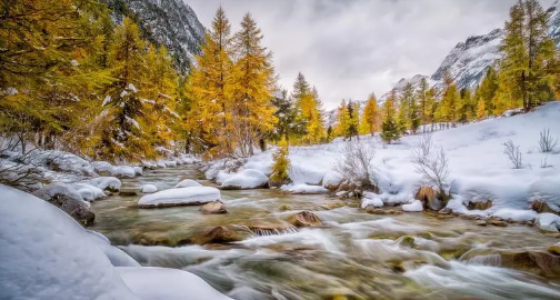 2024年元旦是最冷的时候吗(2024年元旦的天气怎么样) 2024年元旦是最冷的时候吗(2024年元旦的天气怎么样)