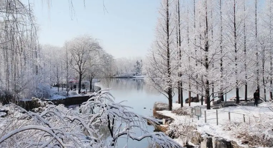 北方冬天白天冷还是晚上冷2024（北方的冬天具有什么特点）