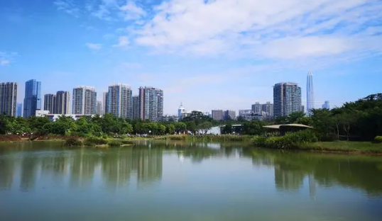 2023年深圳一般几月份到真正的冬天（深圳冬天几月到几月）