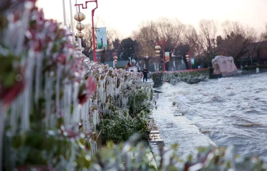 2024年三九天哪天开始(2024年几月几号交九) 2024年三九天哪天开始(2024年几月几号交九)