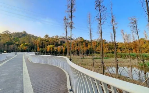 2023年深圳11月份会降温吗2