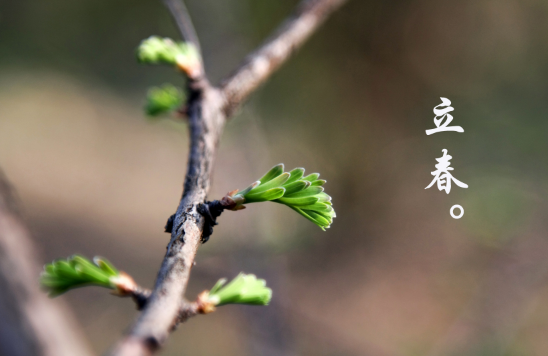 2024立春是双立春吗（2024立春是单立春还是双立春）