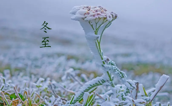 2023年冬至是黄道吉日吗(2023年冬至是好日子吗) 2023年冬至是黄道吉日吗(2023年冬至是好日子吗)