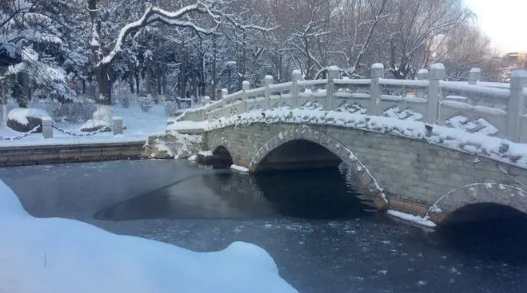 2024年深圳冬天会下雪吗(深圳为什么没有雪) 2024年深圳冬天会下雪吗(深圳为什么没有雪)