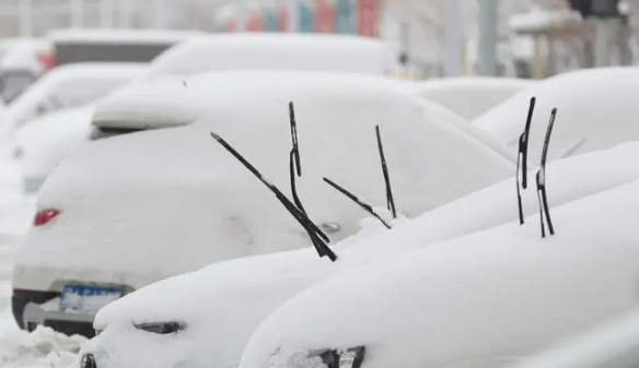 哈尔滨2024年元旦会下雪吗（元旦去哈尔滨看雪哪最合适）