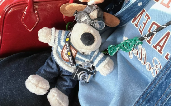 韩国掌门狗手机夹哪里买（掌门狗手机夹怎么背好看）