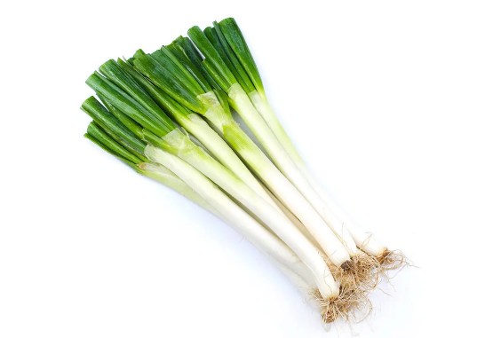 章丘大葱在别的地方能种吗2