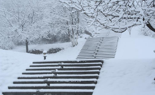 2024年元旦去南京能看到雪吗（什么时候南京可以看到雪）