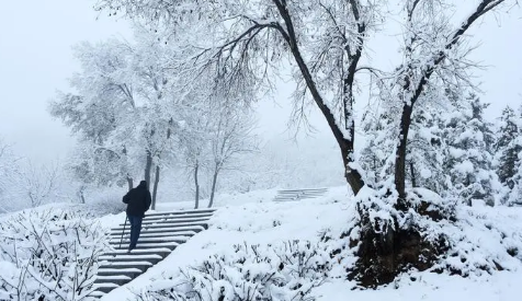 2024年元旦去南京能看到雪吗（什么时候南京可以看到雪）