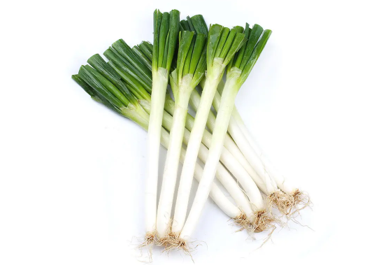 章丘大葱为什么不辣又好吃（章丘大葱为什么是甜的）