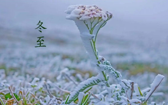 2023年冬至扫墓的吉日是哪几天（2023年冬至几号扫墓最好）