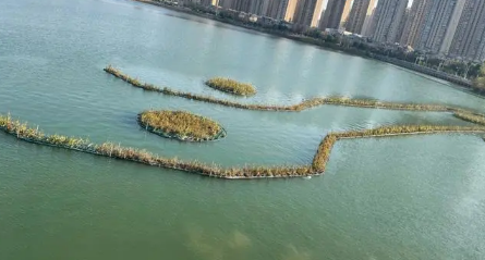 武汉今年过年冷吗2024（过年去武汉穿什么衣服比较合适）