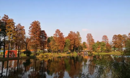 武汉今年过年冷吗2024（过年去武汉穿什么衣服比较合适）