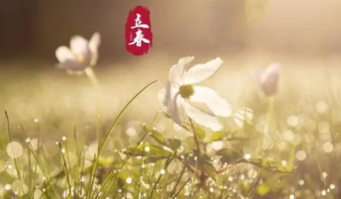 立春以后多久最低温度能达到10度（立春之后得多少天天气才能升温）