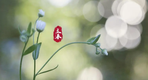 武汉立春就不冷了吗2024（武汉春天的气温一般什么时候回暖）